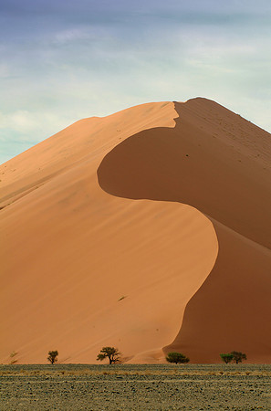 The Namib Desert