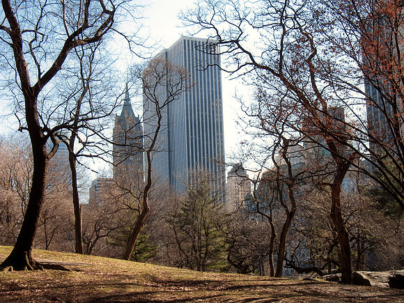 Central Park