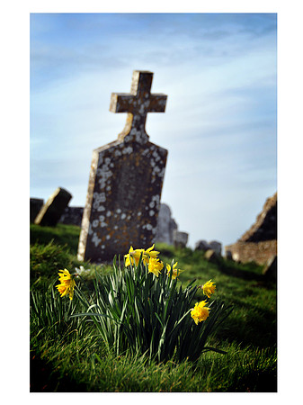 Life and death