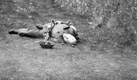Duncannon reenactment 2012